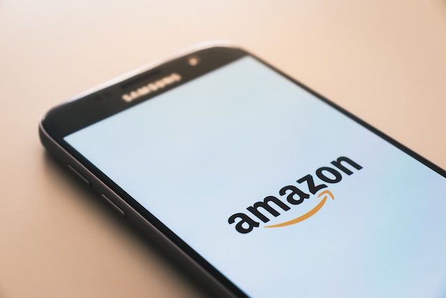 guadagnare con Amazon